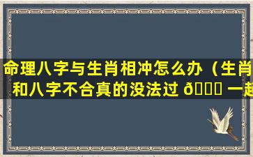 命理八字与生肖相冲怎么办（生肖和八字不合真的没法过 🐎 一起吗）